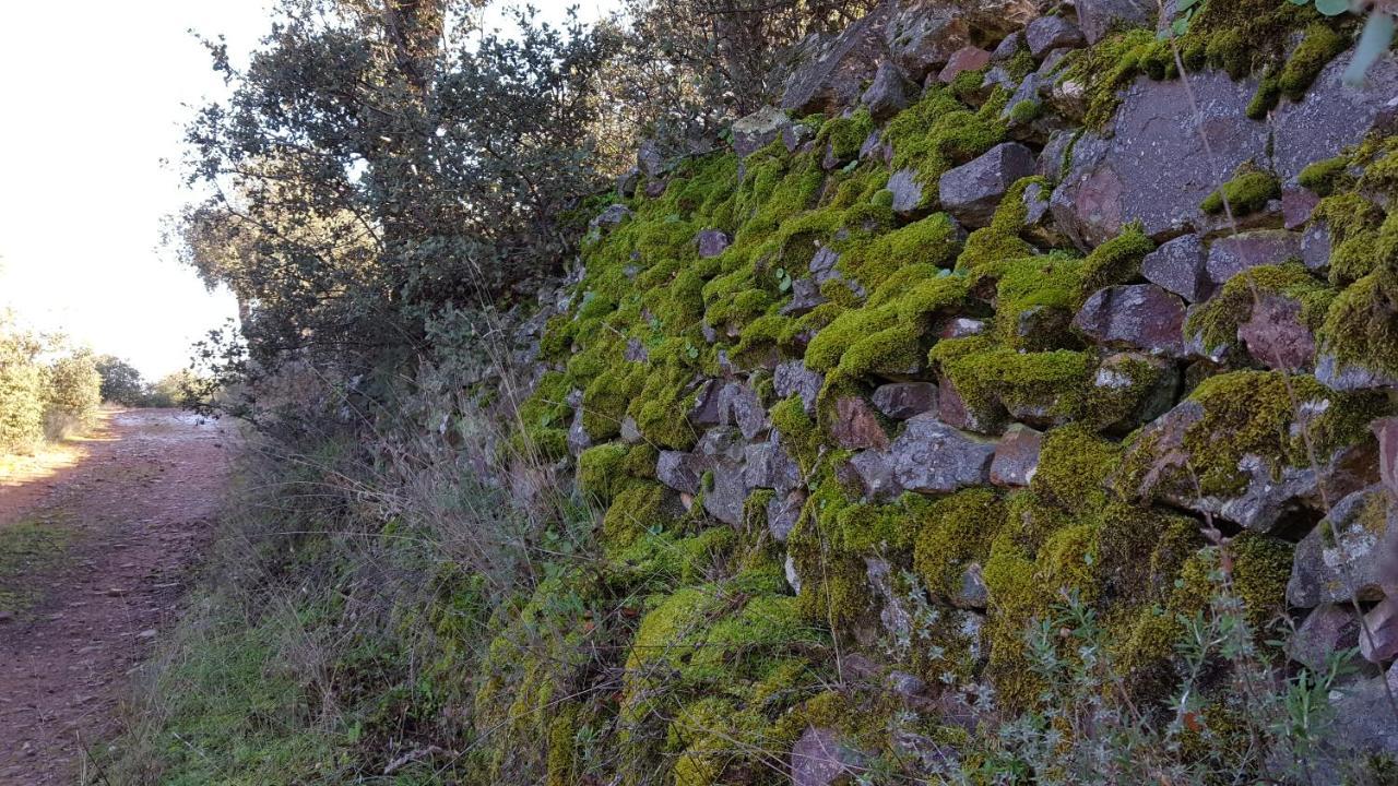 Casa Rural El Arco La Estrella  Екстериор снимка