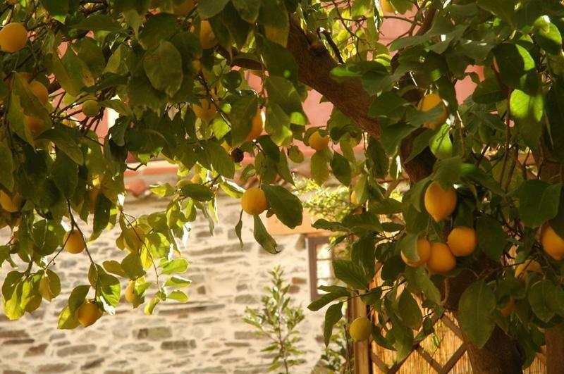 Casa Rural El Arco La Estrella  Екстериор снимка